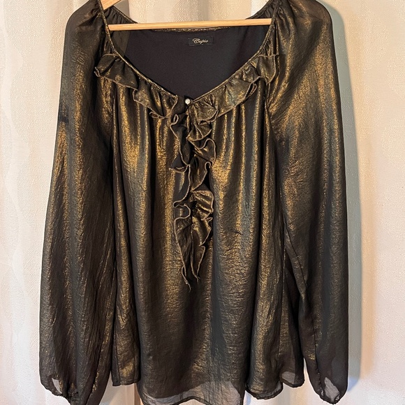 Cupio - Metallic Bronze semi sheer, lined long sleeve blouse - Picture 2 of 11